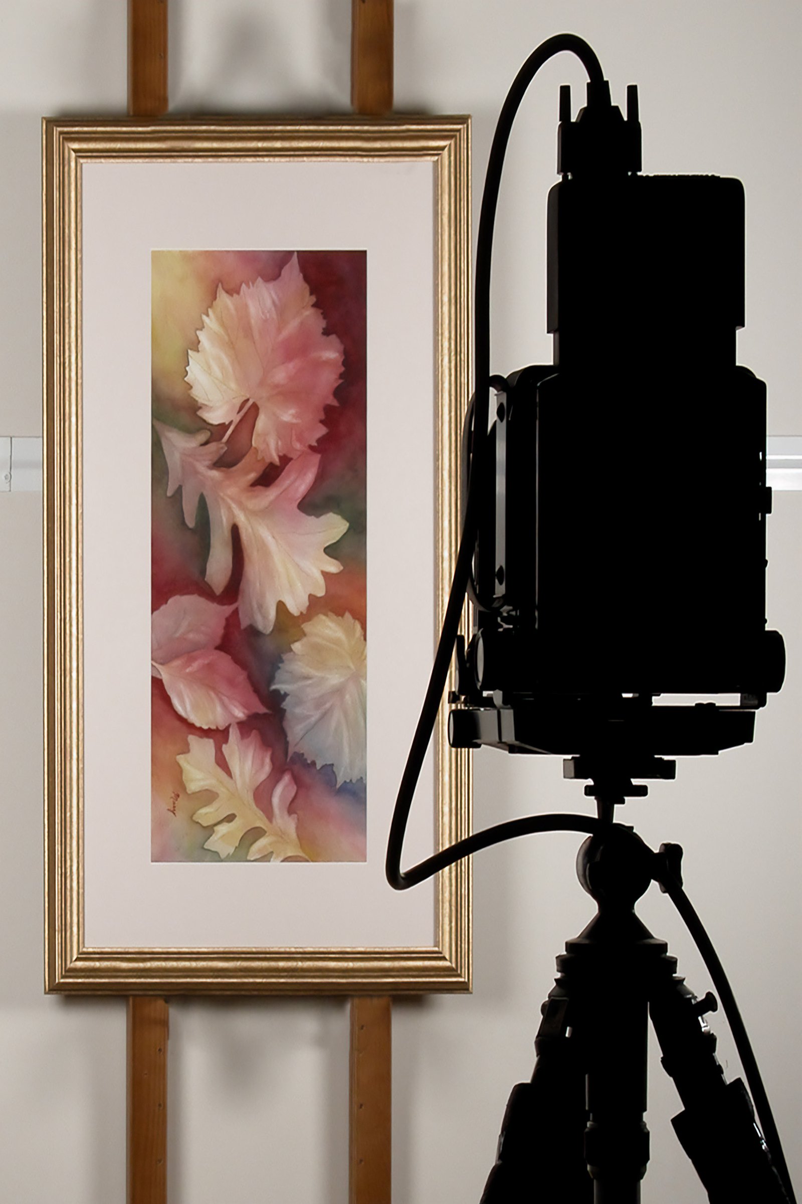 Fine Art Printmaking Process